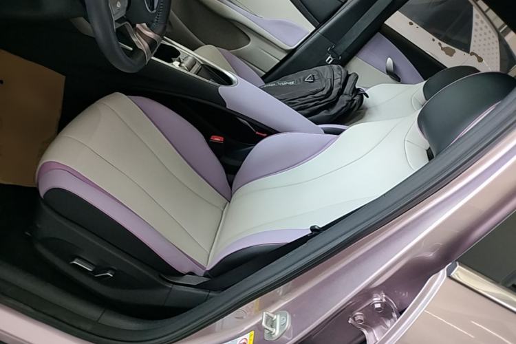Used BYD Dolphin 2021 405 km Fashion Edition Left Front Seat