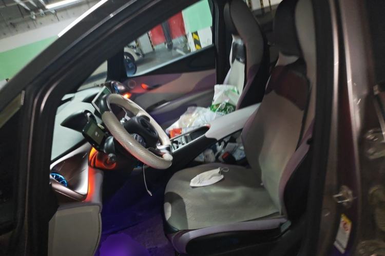 Used BYD Dolphin 2021 401km Knight Edition Left Front Seat