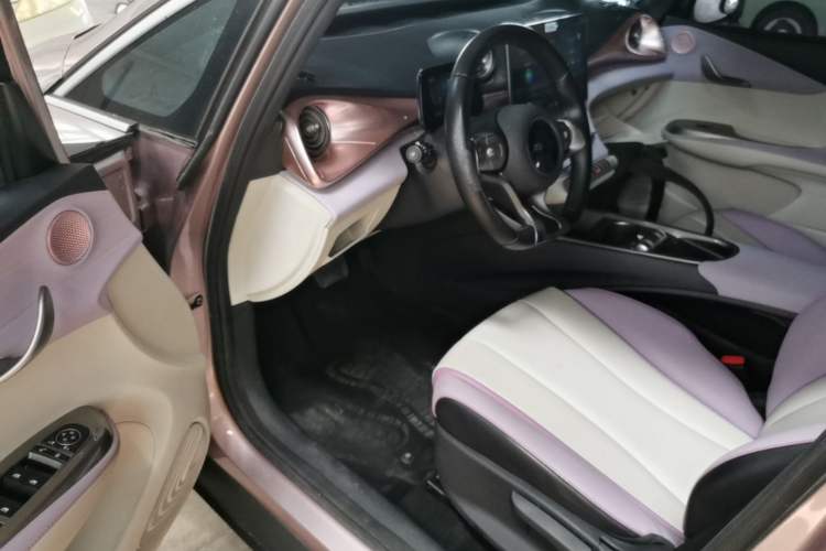 Used BYD Dolphin 2021 405 km Free Version Left Front Seat