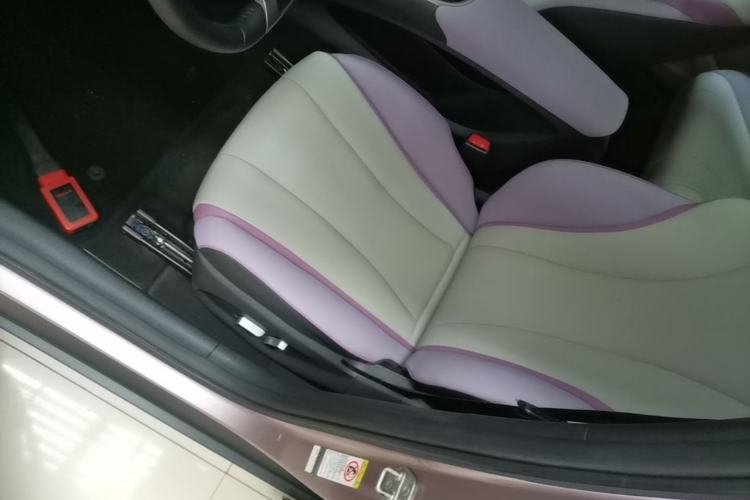 Used BYD Dolphin 2021 405 km Free Version Left Front Seat