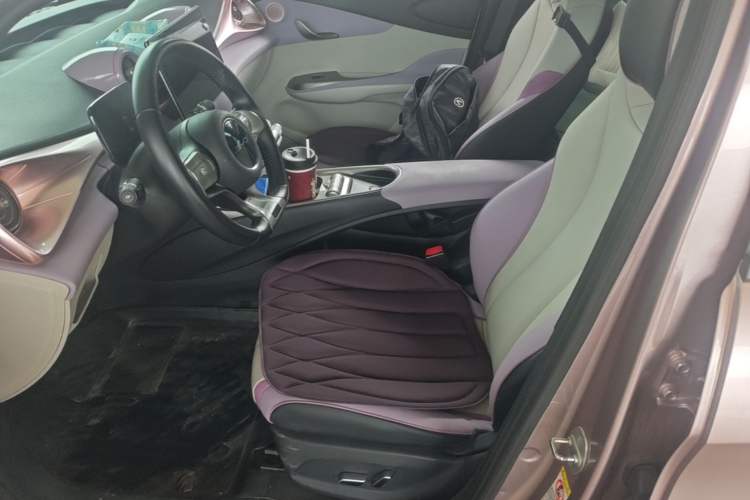 Used BYD Dolphin 2021 405 km Fashion Edition Left Front Seat