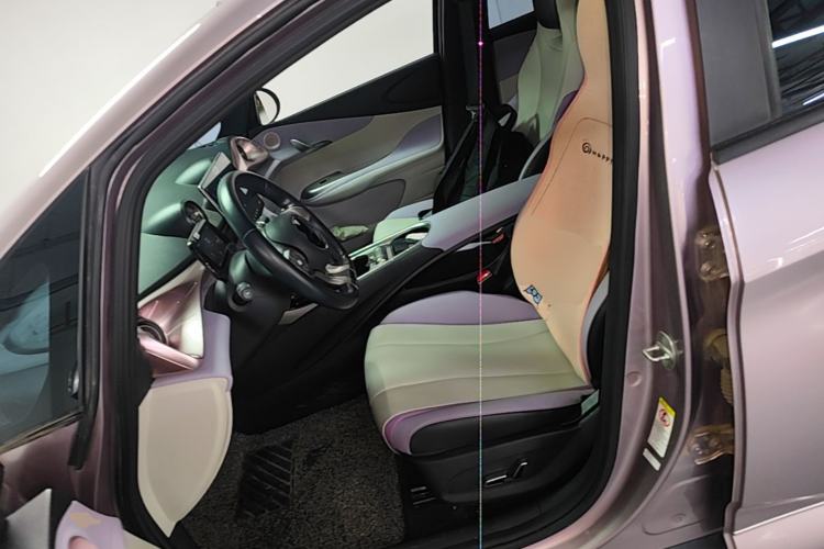 Used BYD Dolphin 2021 405 km Fashion Edition Left Front Seat