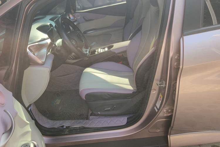 Used BYD Dolphin 2021 405 km Fashion Edition Left Front Seat