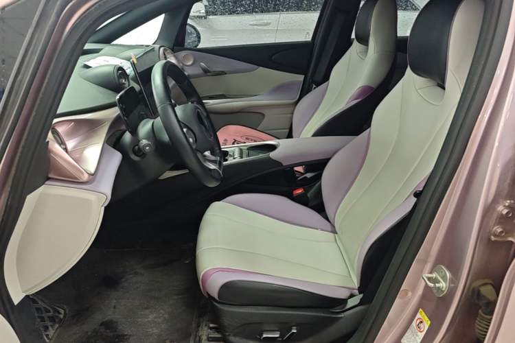 Used BYD Dolphin 2021 405 km Fashion Edition Left Front Seat