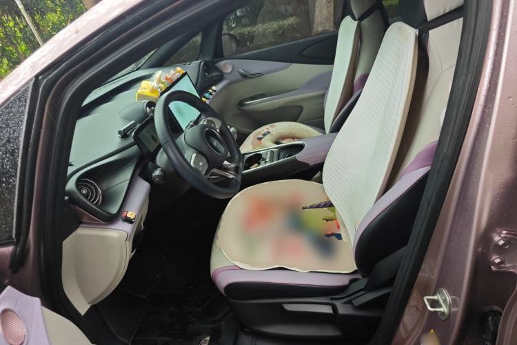 Used BYD Dolphin 2021 405 km Free Version Left Front Seat