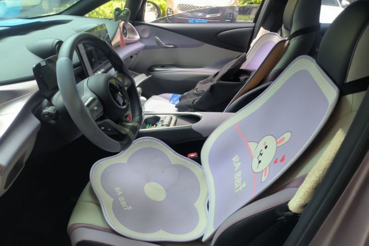 Used BYD Dolphin 2021 405 km Free Version Left Front Seat