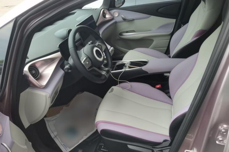 Used BYD Dolphin 2021 405 km Free Version Left Front Seat