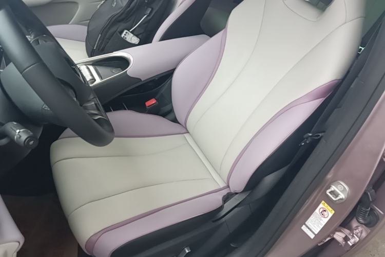 Used BYD Dolphin 2021 405 km Fashion Edition Left Front Seat