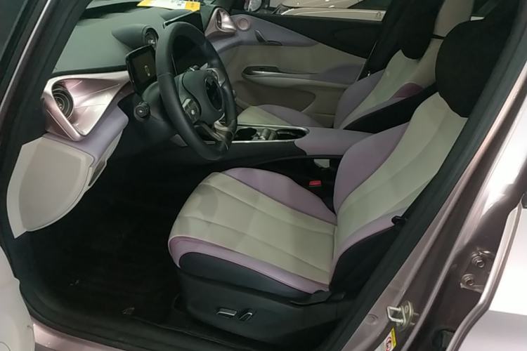 Used BYD Dolphin 2021 401km Knight Edition Left Front Seat