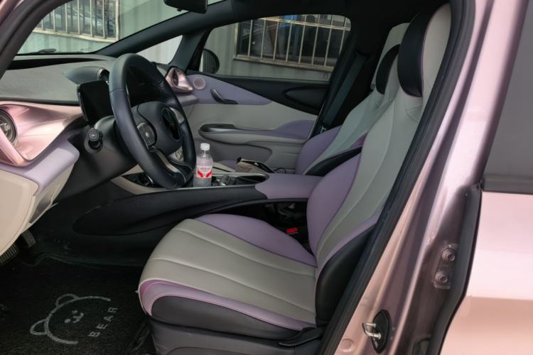 Used BYD Dolphin 2021 405 km Fashion Edition Left Front Seat