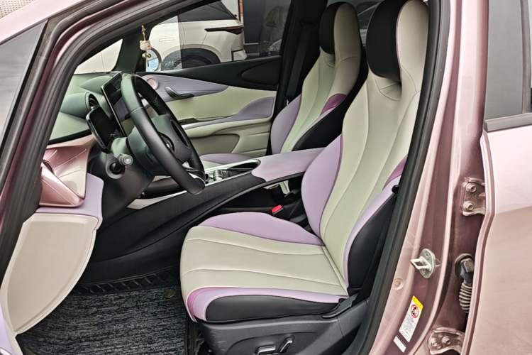 Used BYD Dolphin 2021 405 km Fashion Edition Left Front Seat