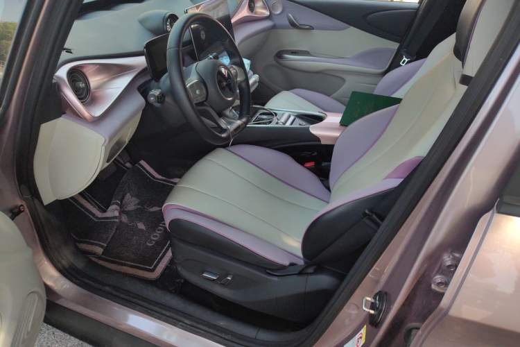 Used BYD Dolphin 2021 405 km Fashion Edition Left Front Seat