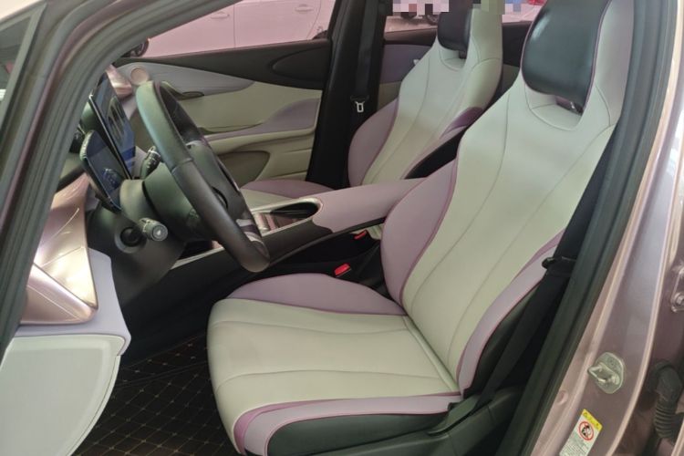 Used BYD Dolphin 2021 405 km Fashion Edition Left Front Seat