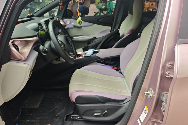 Used BYD Dolphin 2021 405 km Fashion Edition Left Front Seat