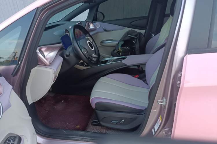 Used BYD Dolphin 2021 405 km Fashion Edition Left Front Seat