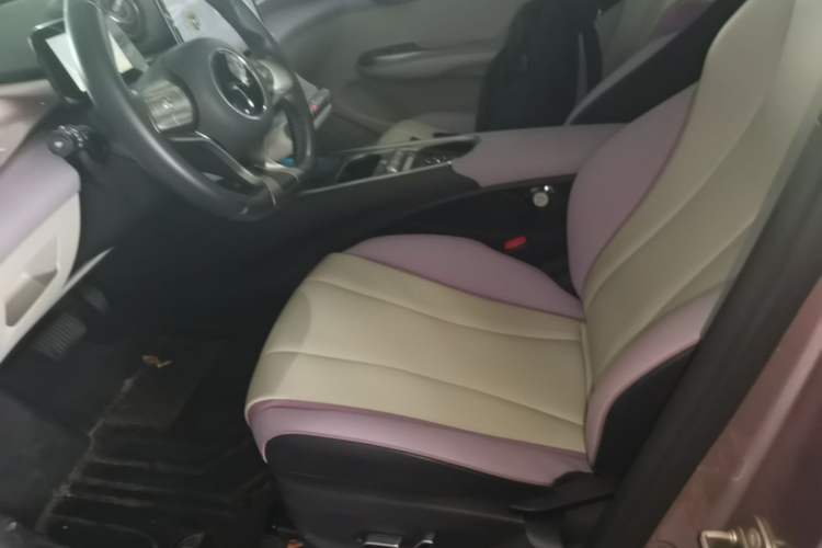 Used BYD Dolphin 2021 405 km Fashion Edition Left Front Seat