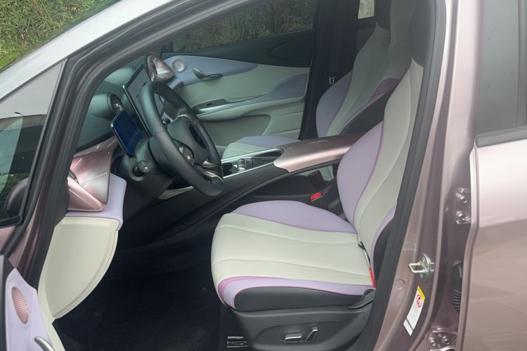 Used BYD Dolphin 2021 405 km Fashion Edition Left Front Seat