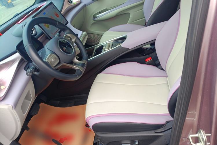 Used BYD Dolphin 2021 405 km Fashion Edition Left Front Seat