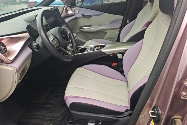 Used BYD Dolphin 2021 405 km Fashion Edition Left Front Seat