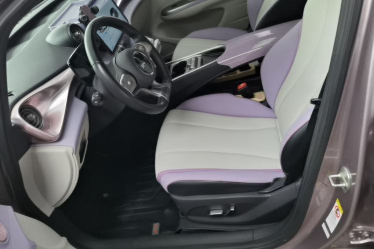 Used BYD Dolphin 2021 401km Knight Edition Left Front Seat
