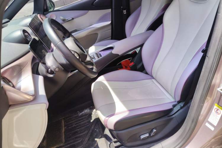 Used BYD Dolphin 2021 405 km Fashion Edition Left Front Seat