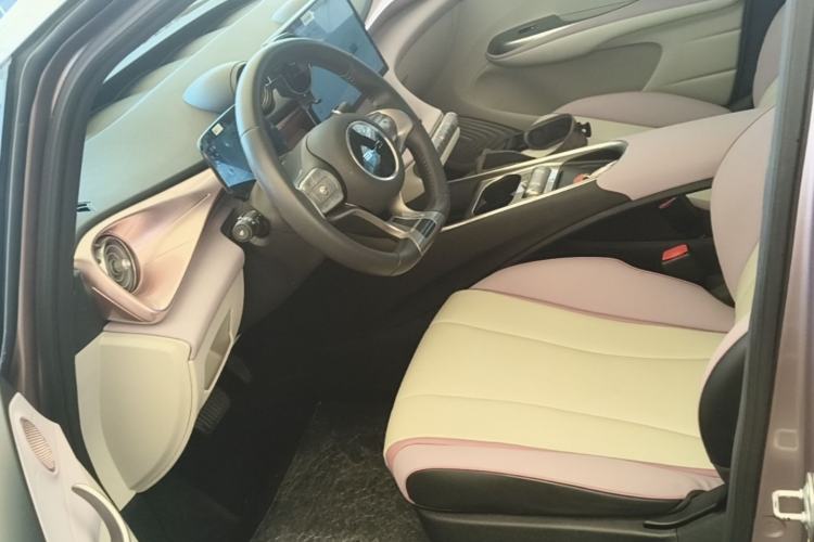 Used BYD Dolphin 2021 405 km Fashion Edition Left Front Seat
