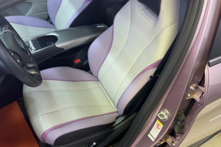 Used BYD Dolphin 2021 401km Knight Edition Left Front Seat