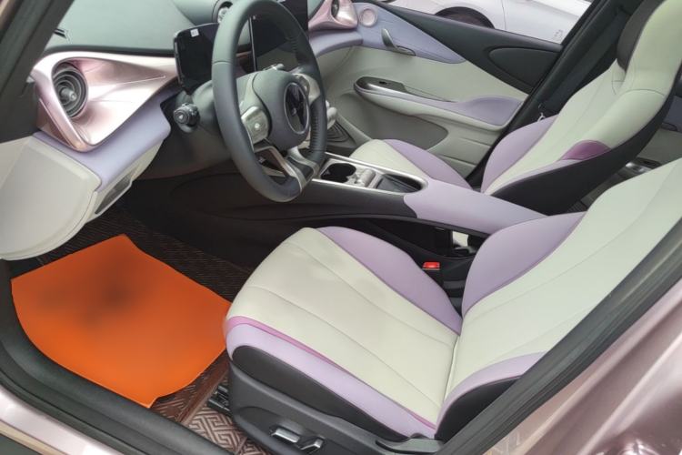 Used BYD Dolphin 2021 405 km Fashion Edition Left Front Seat