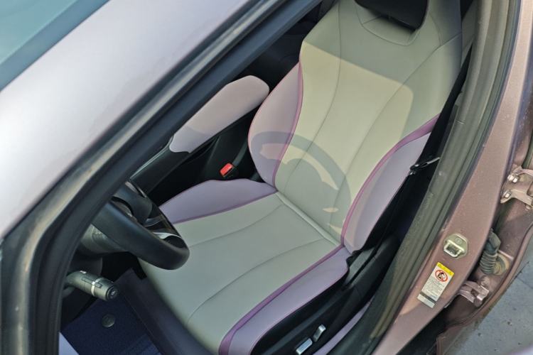 Used BYD Dolphin 2021 405 km Fashion Edition Left Front Seat
