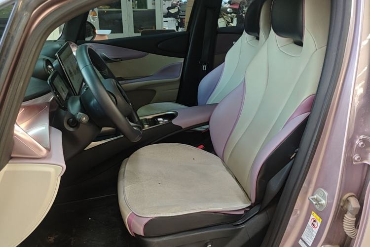 Used BYD Dolphin 2021 401km Knight Edition Left Front Seat