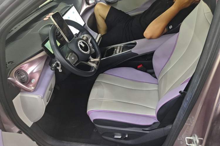 Used BYD Dolphin 2021 405 km Fashion Edition Left Front Seat