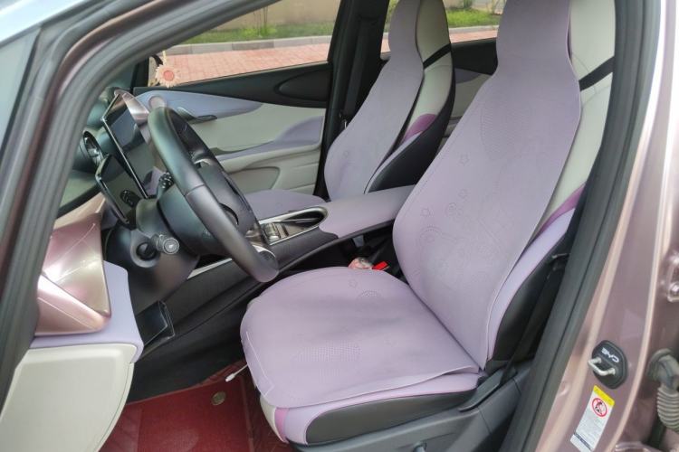 Used BYD Dolphin 2021 405 km Fashion Edition Left Front Seat