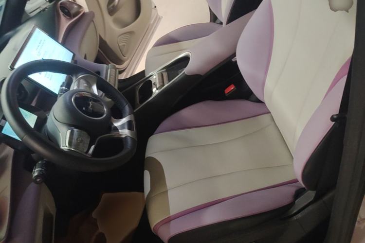 Used BYD Dolphin 2021 401km Knight Edition Left Front Seat