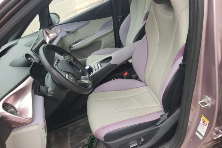 Used BYD Dolphin 2021 405 km Fashion Edition Left Front Seat