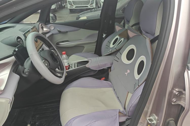 Used BYD Dolphin 2021 405 km Fashion Edition Left Front Seat