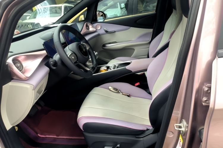 Used BYD Dolphin 2021 405 km Fashion Edition Left Front Seat