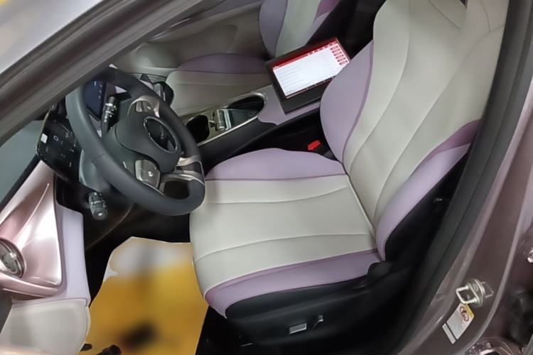 Used BYD Dolphin 2021 405 km Fashion Edition Left Front Seat