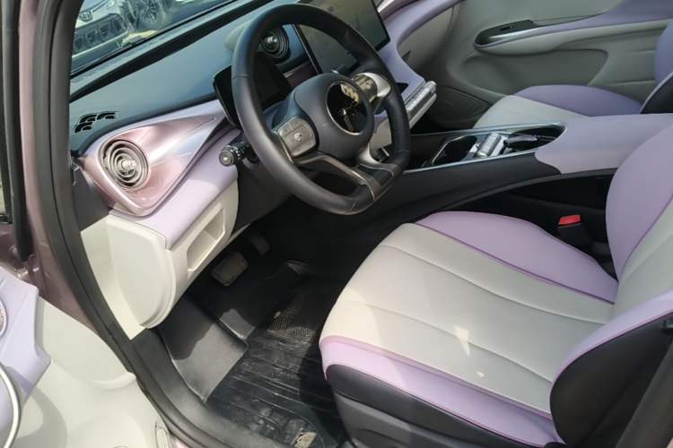 Used BYD Dolphin 2021 405 km Fashion Edition Left Front Seat