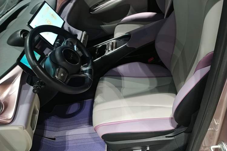 Used BYD Dolphin 2021 401km Knight Edition Left Front Seat