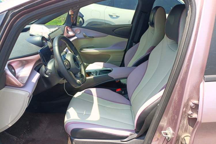 Used BYD Dolphin 2021 405 km Fashion Edition Left Front Seat
