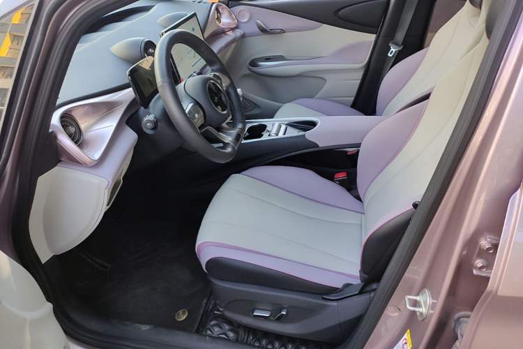 Used BYD Dolphin 2021 401km Knight Edition Left Front Seat
