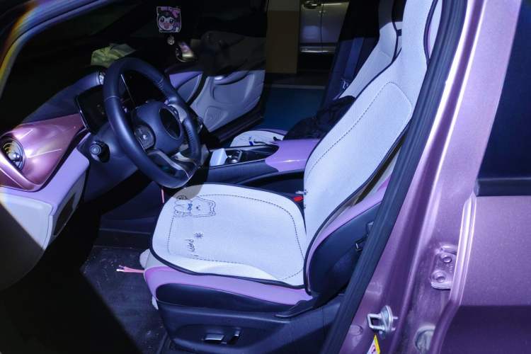 Used BYD Dolphin 2021 401km Knight Edition Left Front Seat