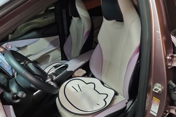 Used BYD Dolphin 2021 405 km Fashion Edition Left Front Seat