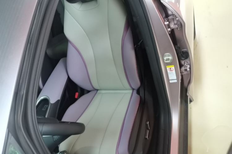 Used BYD Dolphin 2021 405 km Fashion Edition Left Front Seat