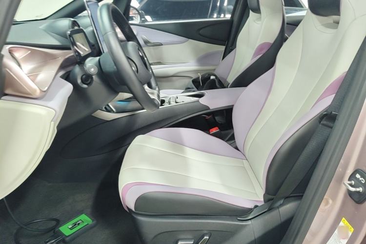 Used BYD Dolphin 2021 401km Knight Edition Left Front Seat