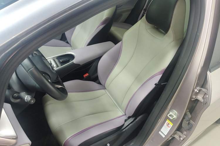 Used BYD Dolphin 2021 405 km Fashion Edition Left Front Seat