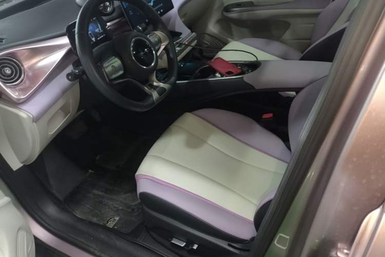 Used BYD Dolphin 2021 405 km Free Version Left Front Seat