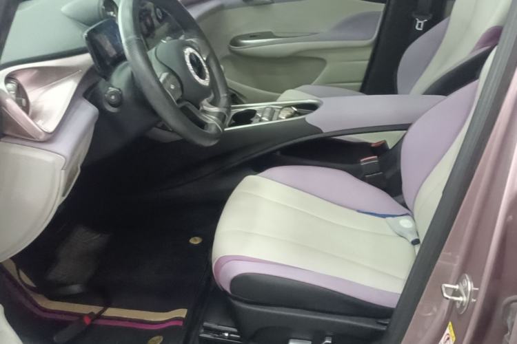 Used BYD Dolphin 2021 401km Knight Edition Left Front Seat