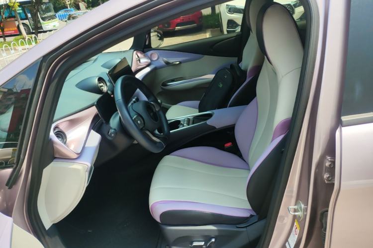 Used BYD Dolphin 2021 405 km Fashion Edition Left Front Seat