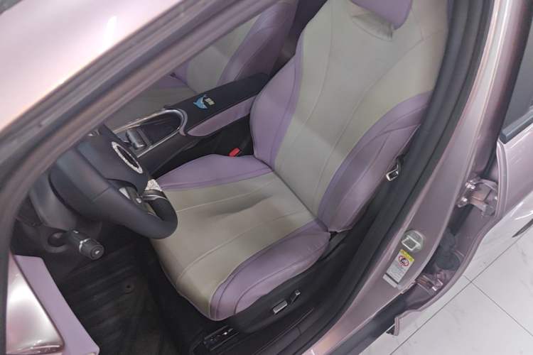 Used BYD Dolphin 2021 405 km Fashion Edition Left Front Seat